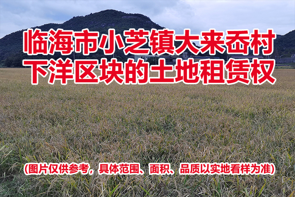 临海市小芝镇大来岙村下洋区块的土地租赁权